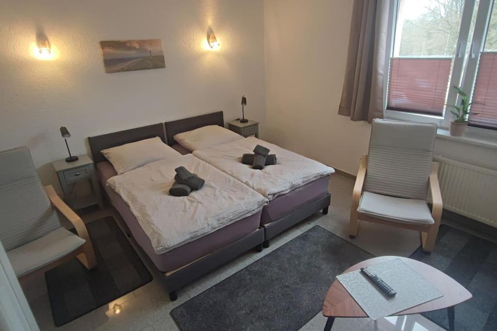 Hehlentor-City Gaeste Wohnung Celle Kültér fotó